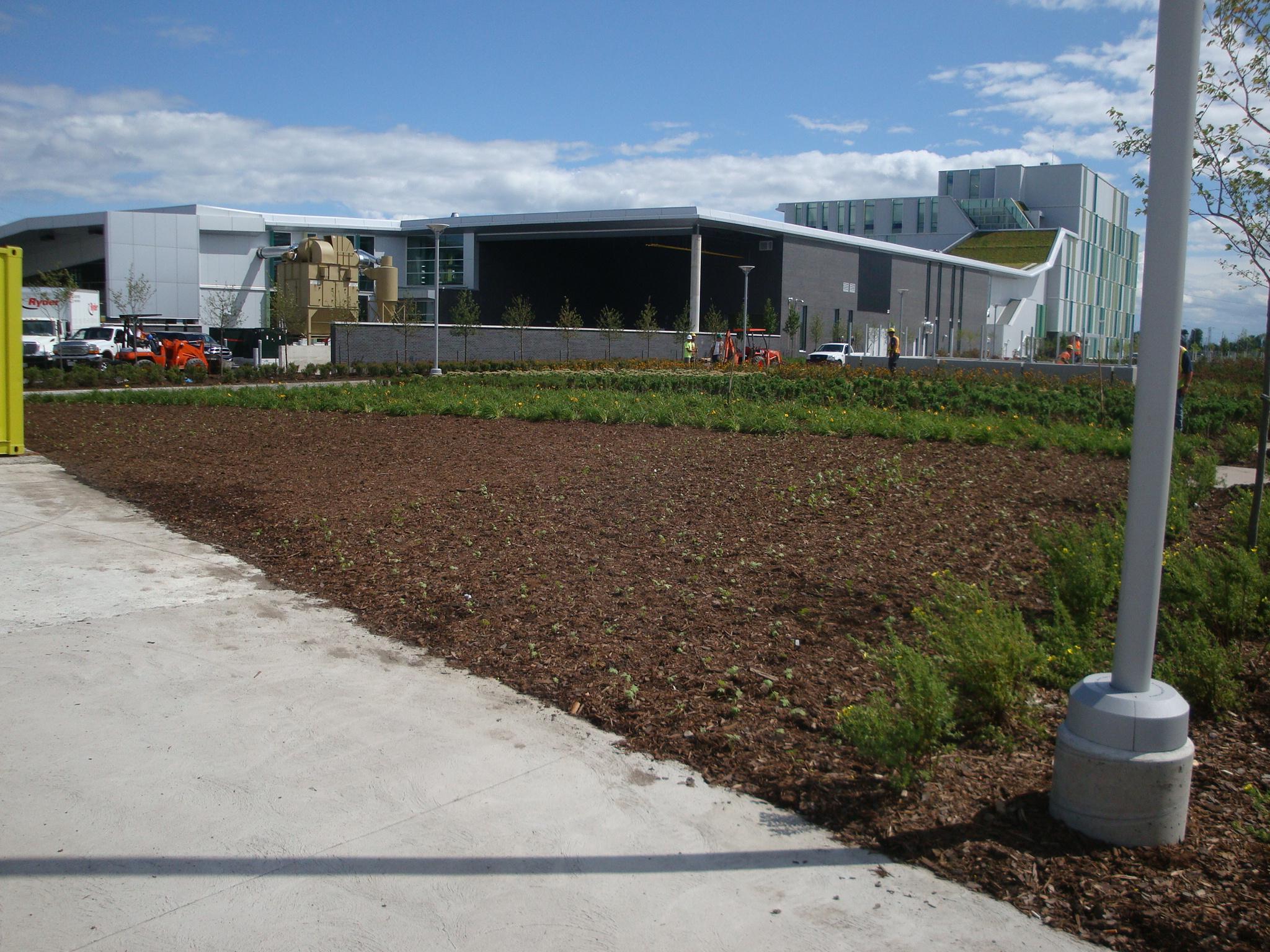 Carling Executive Park Site Rehabilitation